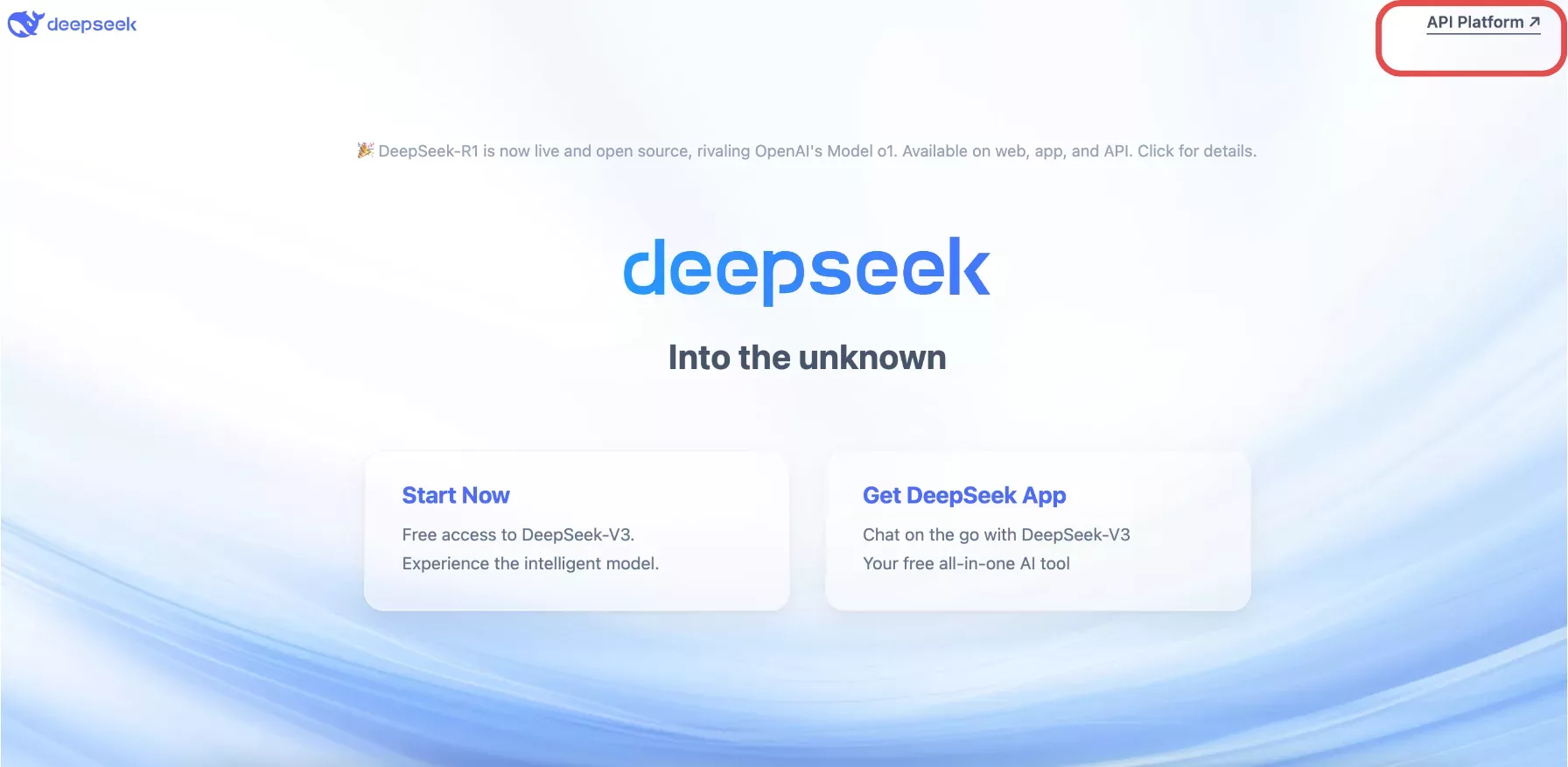 DeepSeek API Platform